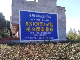 长沙品牌公司青睐的墙体广告