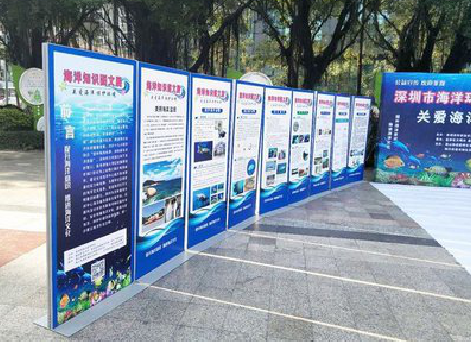 长沙KT板的种类和知识。